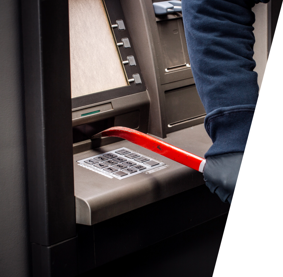 EPIK Shield™ Key Capabilities